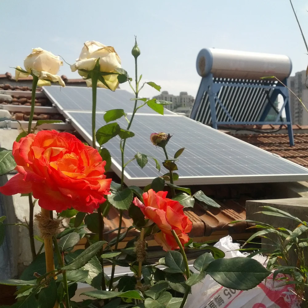 LOHAUS solar rooftop project in Shanghai